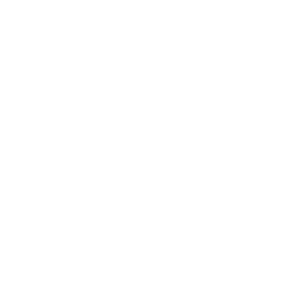 Microsoft.Net