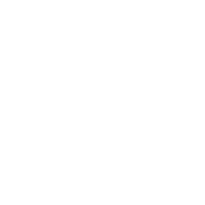 Asp.Net